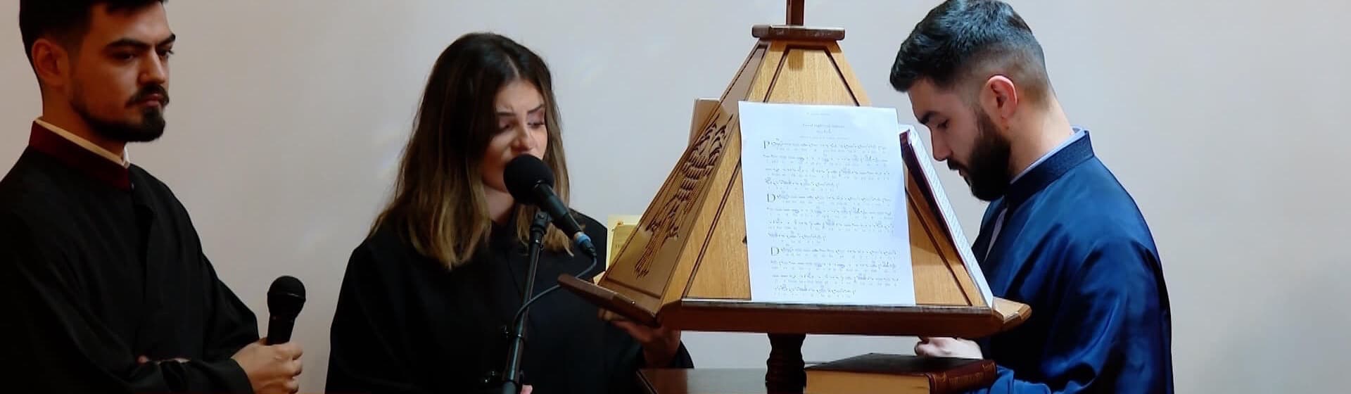 Catapeteasma capelei „Sfântul Ierarh Alexandru” de la Căminul Luxab